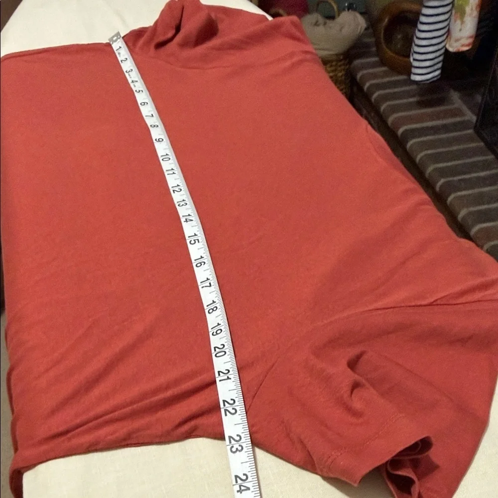 J. Crew Men's Short Sleeve Washed Tee Shirt in Warm Brick.  Size Large.